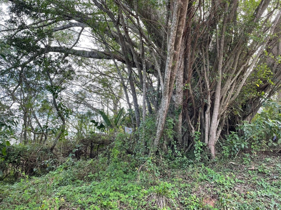 4 Bedroom Property for Sale in Bathurst Eastern Cape